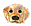 cute_dog