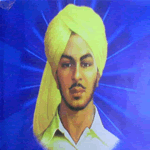 singh882